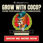 AN-Connie-Coco-Display-Ad-SS-20180803-300×300-1