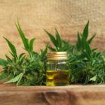 CBD industrial hemp farm bill mg magazine