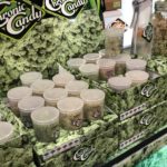 World-CBD-Expo-Pasadena-CBDToday-25